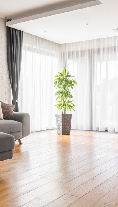 Living room with wood flooring